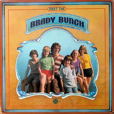 BRADY BUNCH / MEET THE [LP]