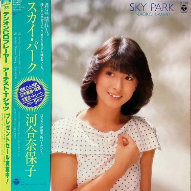 河合奈保子 / スカイ・パーク [LP]